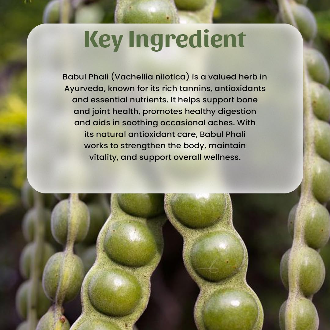 Babool Phali Pulver | Vachellia nilotica Pulver | Baval Phali Pulver | Kikar Phali Pulver - 300 GM