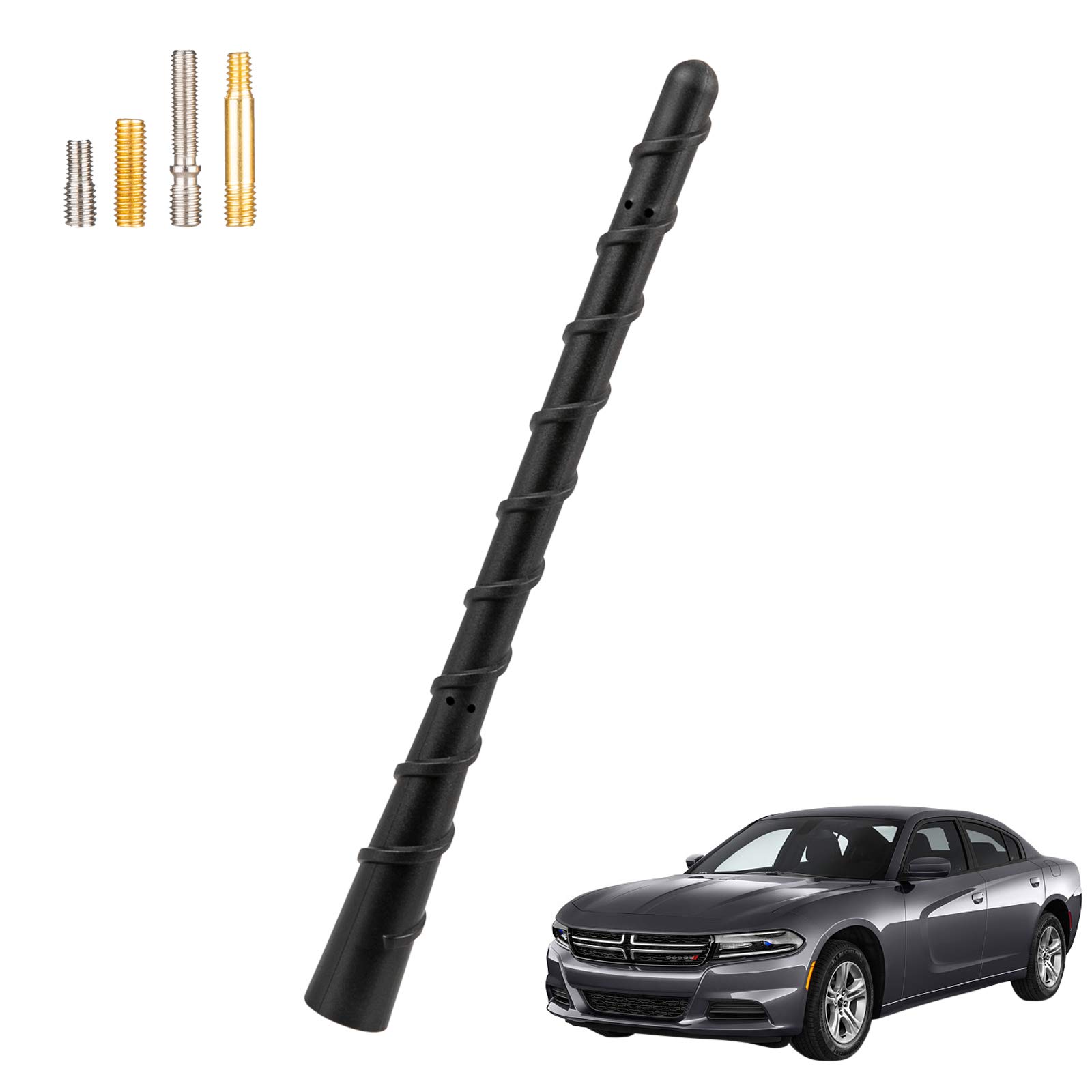 Buy Dailylife Universal Car Antenna,Weatherproof Strong Signal AM FM