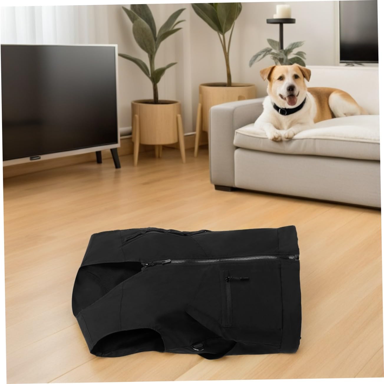 Gilet D'entraînement pour Chien Noir, Polyester Mesh Respirant