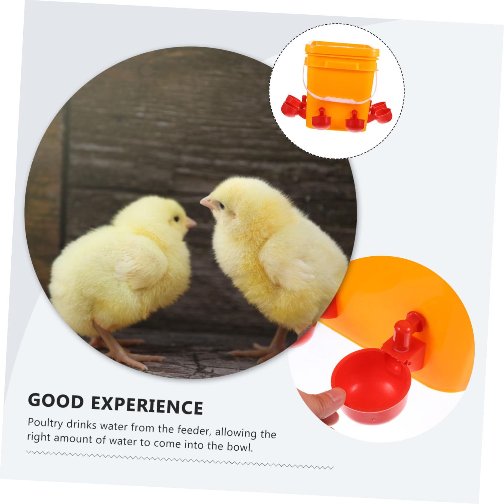 Bebedero Automático para Pollos 1 Juego de Plástico Naranja | Vasos para Beber, Fácil de Llenar, para Gallinas y Codornices en Uso Doméstico