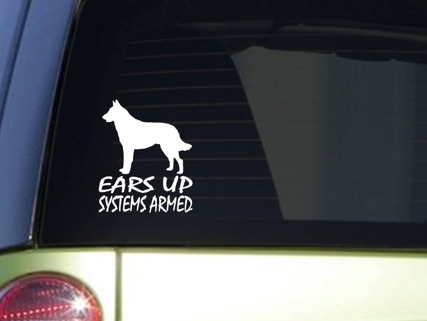 malinois car decal