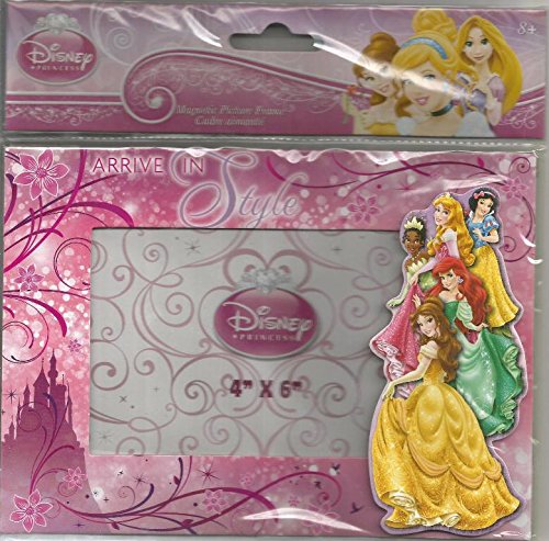 Disney Princess Magnetic Picture Frame