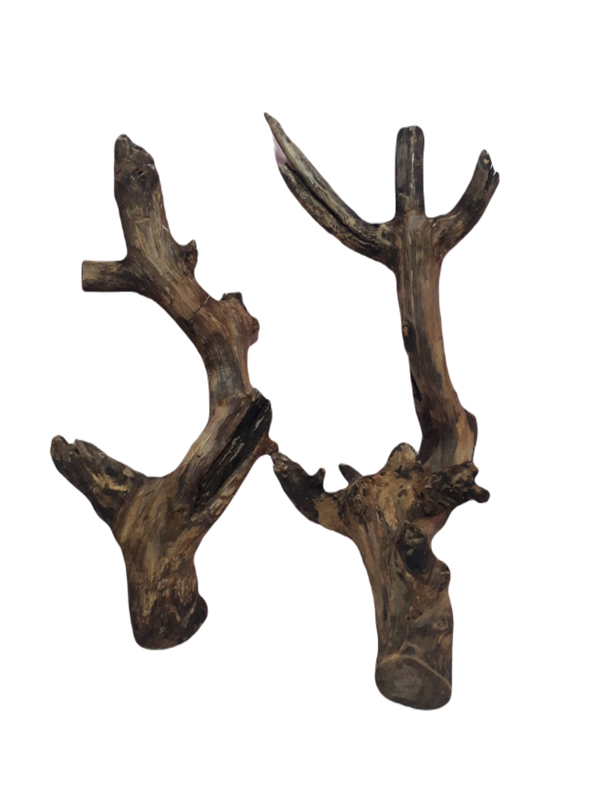 DKS STORES Driftwood For Aquarium Original Teak Wood Two Pieces Total Weight About 1.9 Kg
