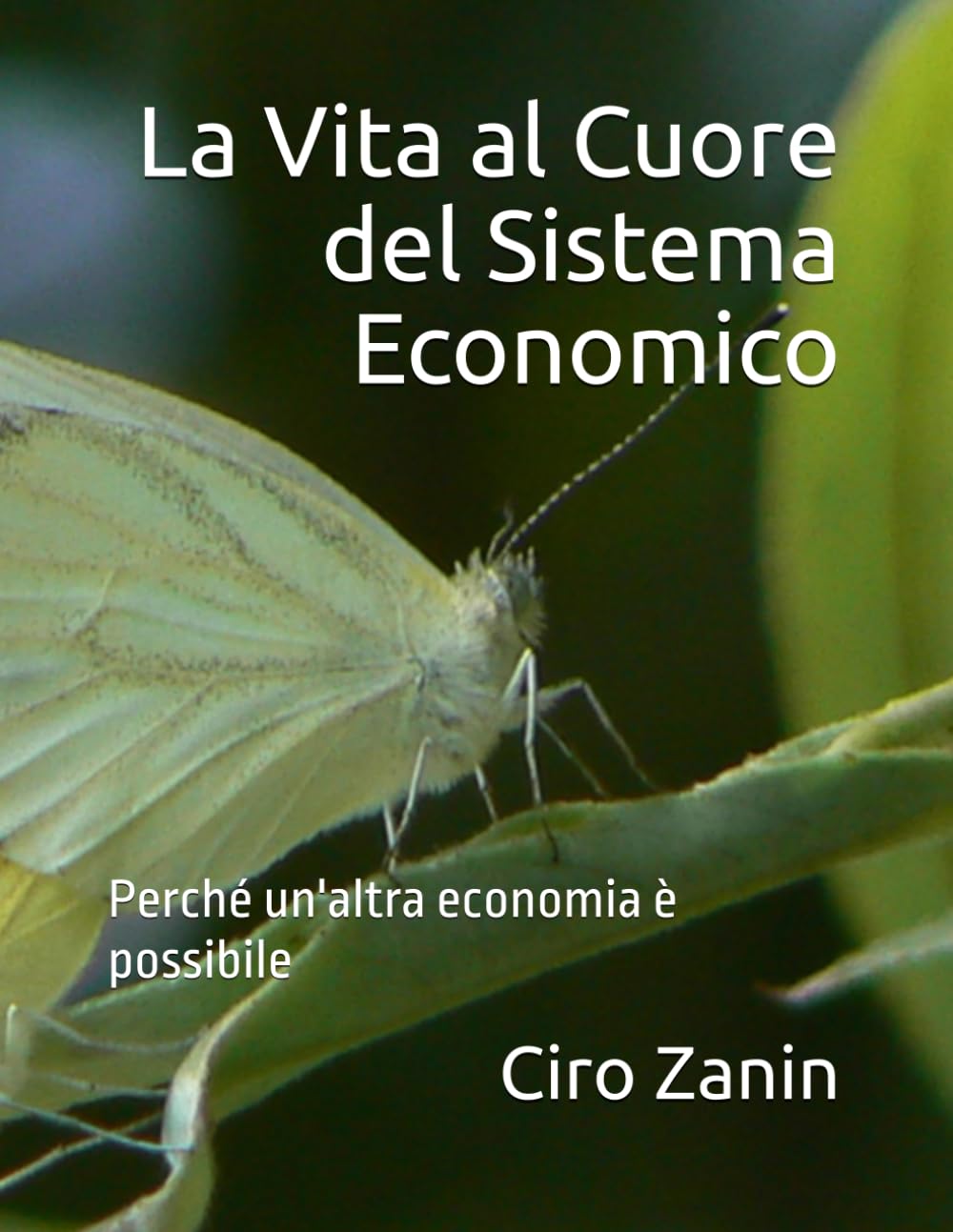 La Vita al Cuore del Sistema Economico: Perché un'altra economia è possibile (Il Capitale Vivente)
