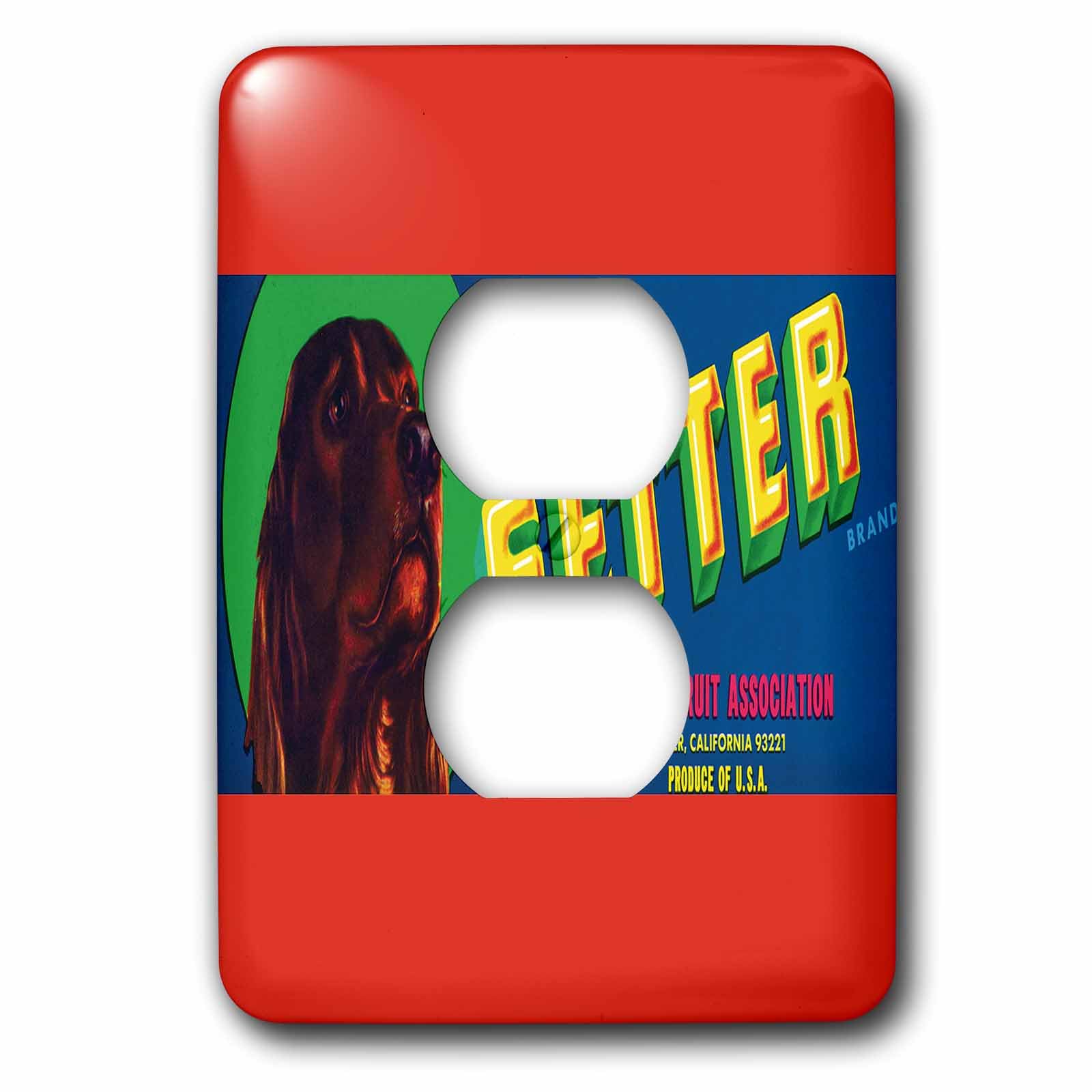 Interruptor Irish Setter 3dRose lsp_171139_6 de una toma