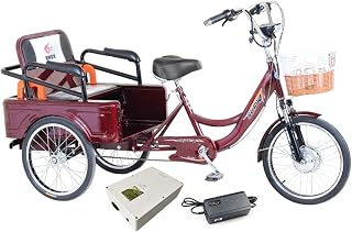 Amazon.it: triciclo elettrico per adulti