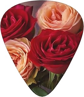 Garden roses Guitar Picks 12 Pack Bass Picks with Organizer Box Guitar Plectrum Includes Thin Medium Heavy Guitar Picks Ukulele Picks for Bass Acoustic Electric Guitars
