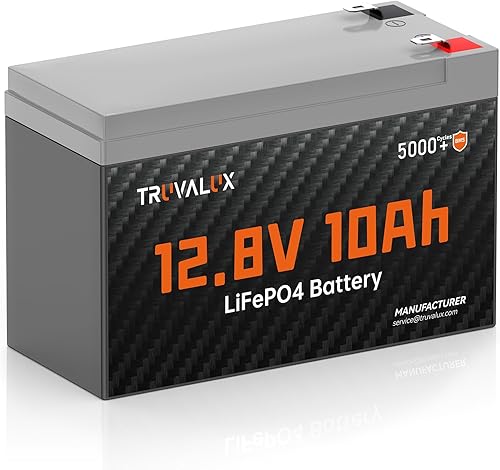 Batería LiFePO4 de litio de 12 V y 10 Ah, BMS de 10 A integrado, diseño ligero, hasta 5000 ciclos profundos, 10 años de vida útil, actualización