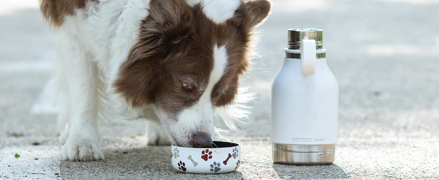 37 Oz Insulated Travel Water Bottle with Removable Dog Bowl Base (Georgia Bulldogs)