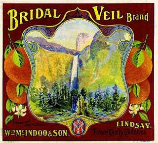 A SLICE IN TIME Lindsay Tulare County California Bridal Veil Brand Yosemite Orange Citrus Fruit Crate Label Art Print