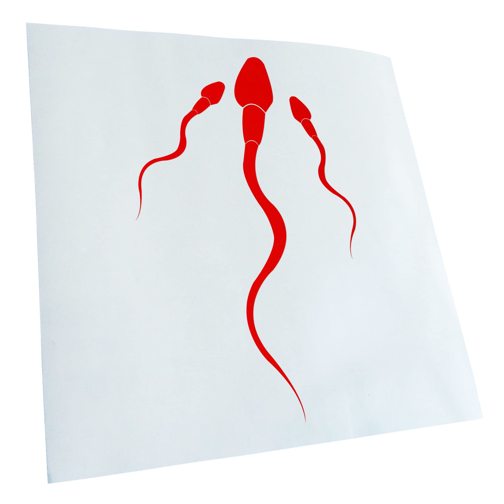 Kiwistar - Car Sticker - Red - 50 x 33 cm - Rear Window Car Sticker Weatherproof for Car Truck Moped Truck - Sticker Exterior Self-Adhesive Tuning Accessories for Window Vehicle Window