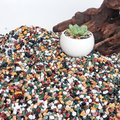 Image of CJGQ 7lb Aquarium Gravel for Plants, 1 /4Inch Fish Tank Gravel for Succulent Cactus and Bonsai, Decorative River Rocks Pebbles for Gardening, Flower Pots, Landscaping,Terrarium