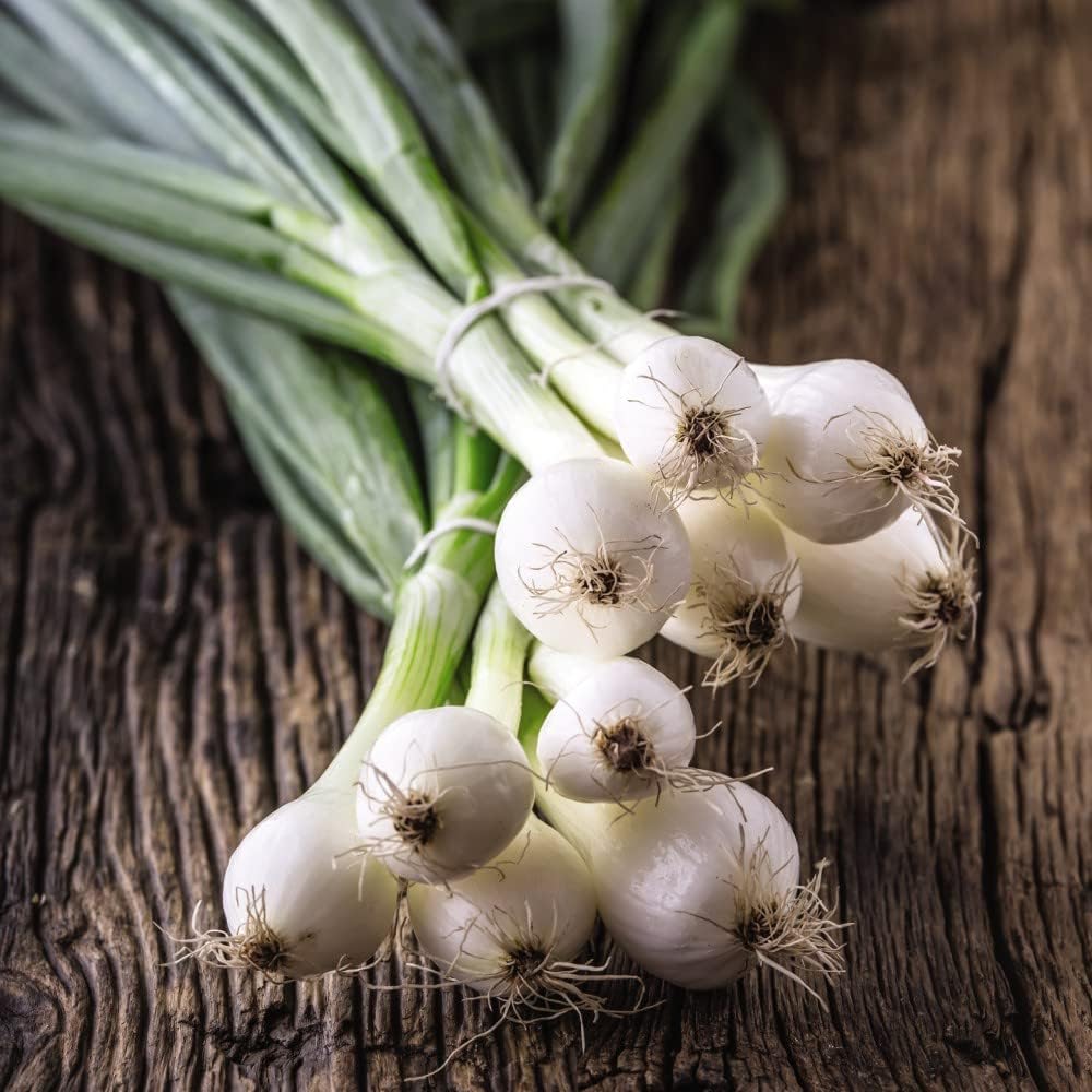 Pickling Onion Seeds 'Paris Silver Skinned' Allium cepa Hardy Annual
