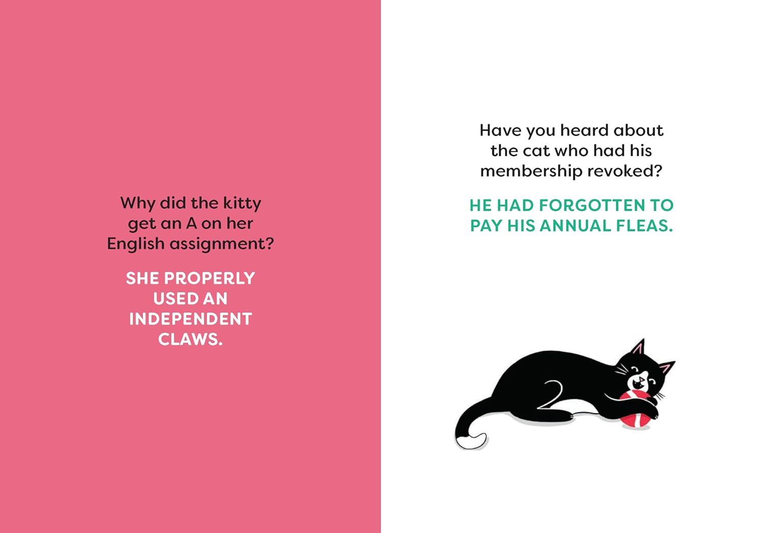The Impawsibly Good Book of Cat Jokes: 165 Hissterical Jokes for Your Amewsment - Image 7