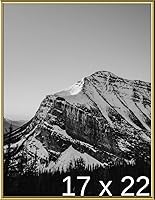 Vista 242 de Frame It Easy Marco de metal rojo de 24 x 36 pulgadas (Hanover)