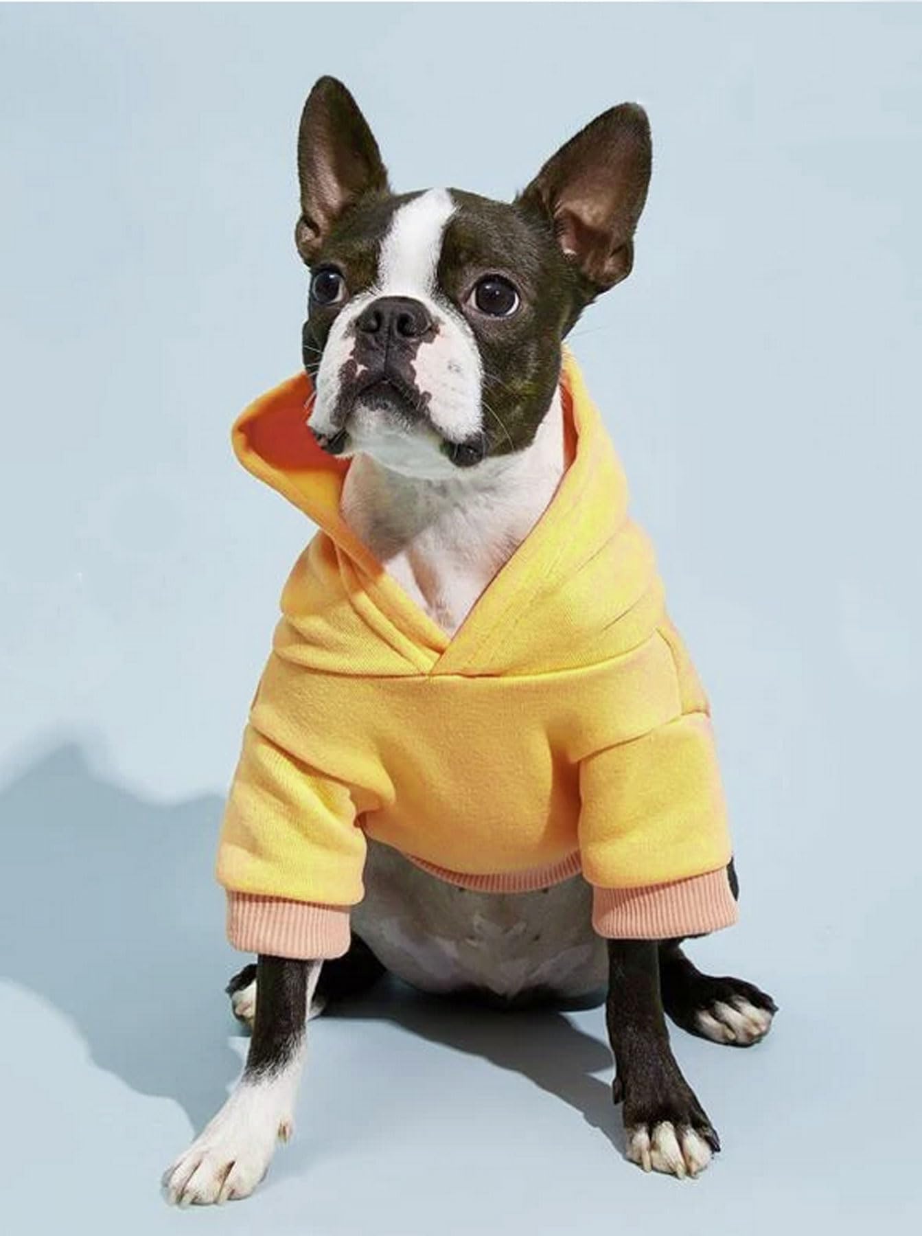 Small Dog Hoodie Security Dog Hoodies Puppy Sweatshirt Pet Dog Hoodies for Medium Dogs, Yellow, Large (8.8-13.2lb) - Image 3