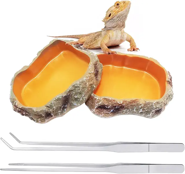 Accessoire Terrarium Pogona : 2 Gamelles et 2 Pinces Longues pour Reptiles