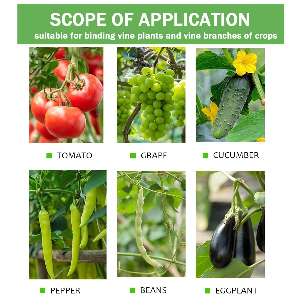 Machine à Attacher Les Plantes Améliorée, pour Attacher Rapidement Les Tomates Et Les Raisins, Outil De Ruban De Jardin pour Jardiniers Et Agriculteurs avec 1 Lame, 10 000 Agrafes Et 20 Rubans De