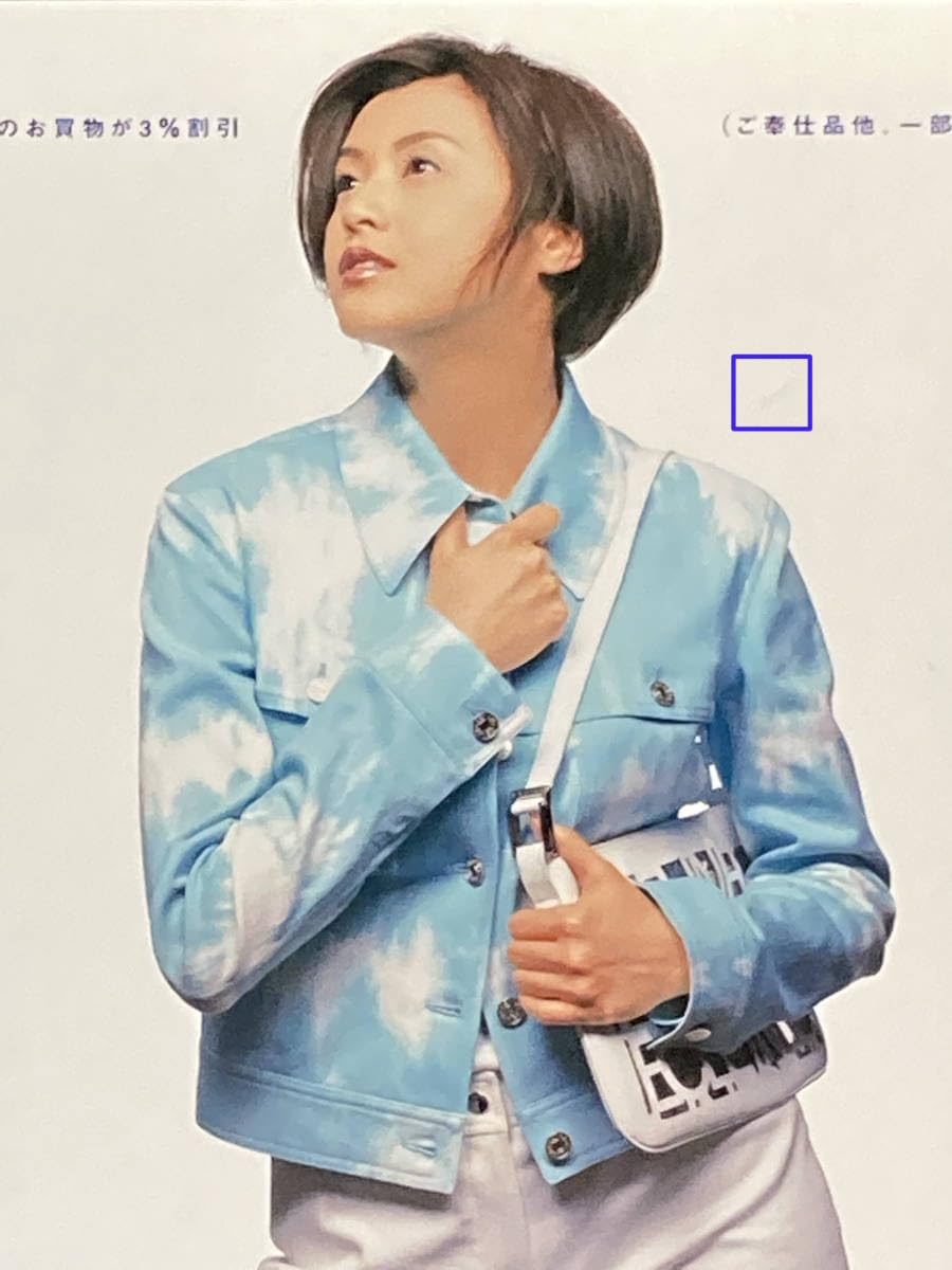 Amazon.co.jp: 藤原紀香 TOBU 東武カード電車車内吊りポスター