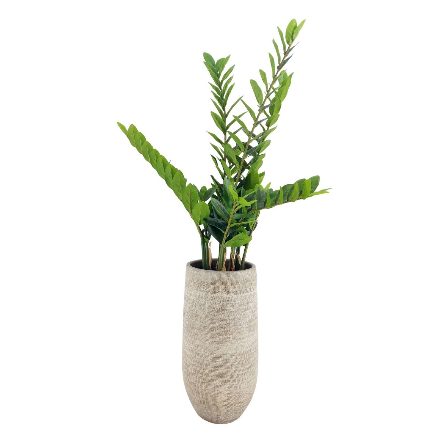 Bodenvase Tokio 50cm - leicht konisch, Graubraun, Keramik, Ø25cm, CreaFlor Home