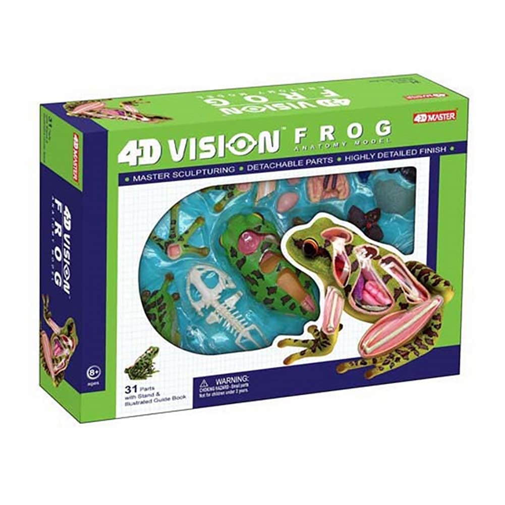 レオパードフロッグ 解剖学モデルキット Amazon.co.jp: パズルカエル解剖学モデル動物生物学体器官解剖学