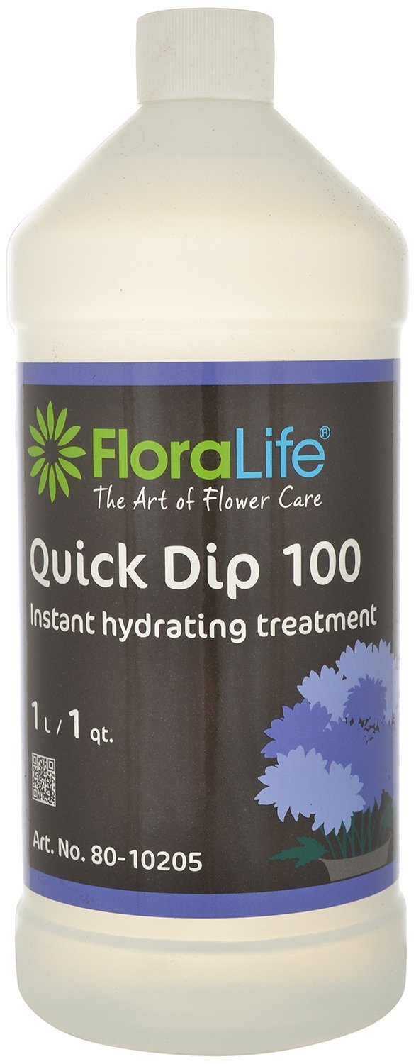 Oasis FloraLife Quick Dip, Solution to Keep Cut Flowers Free Flowwing Bacteria Free & Fresh for Longer Time, (Pack of 1), 1ltr (B01G3MBF3O) Amazon Price History, Amazon Price Tracker