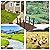 AHB 5FT Garden Bridge, Wooden Arc Bridge for Outdoors with Safety Railings Windmill, Stained Finished Wood Decorative Pond Bridge for Backyard Cream Farm (Wood)