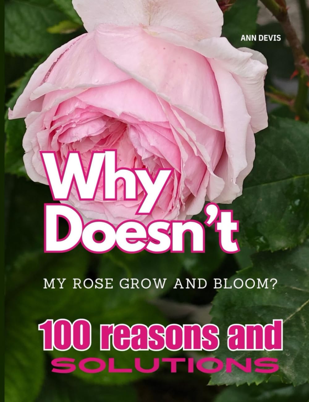 Why Doesn’t My Rose Grow and Bloom? 100 Reasons and Solutions: Growing Gorgeous Roses |100 Practical Tips for Rose Care, Pruning, and Pest Control