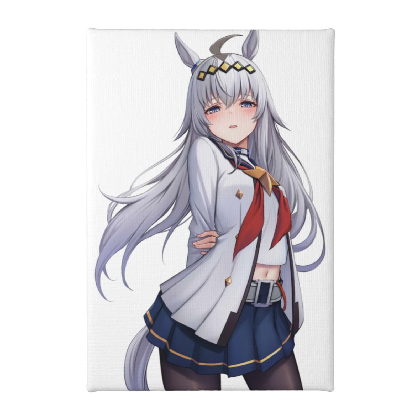 Amazon.co.jp: 装飾画 ウマ娘 オグリキャップ ポスター アート