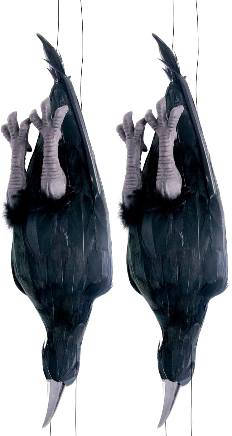 Get Rid of Crows - 2 Pack Realistic Lifesize Large Black Feathered Crows Decoy 17 inch