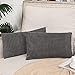 TAN.TOMI Lot de 2 Housse de Coussin 30x50cm en Velours côtelé Gris foncé Housse De Coussin Decoratif pour Canapé(Gris foncé 30x50 CM)