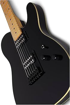 schecter n-pt テレキャスター Schecter PT Electric Guitar | zZounds