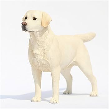 Amazon.co.jp: 1/6 サイズ ラブラドール・レトリバー 可愛い 犬 動物