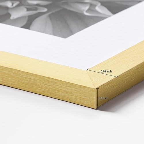 Vista 180 de eletecpro Juego de 10 marcos de fotos de 8.5 x 11 pulgadas, collage de fotos, decoración de pared, fotos de 5 x 7 con paspartú o de 8.5 x 11 Negro