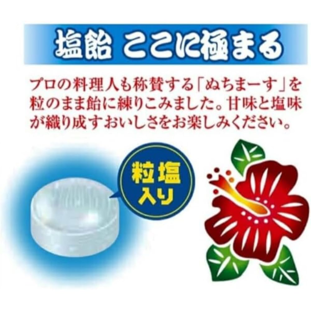 Amazon.co.jp: 名糖産業 沖縄のミネラル塩飴 80g×4袋 : 食品・飲料・お酒