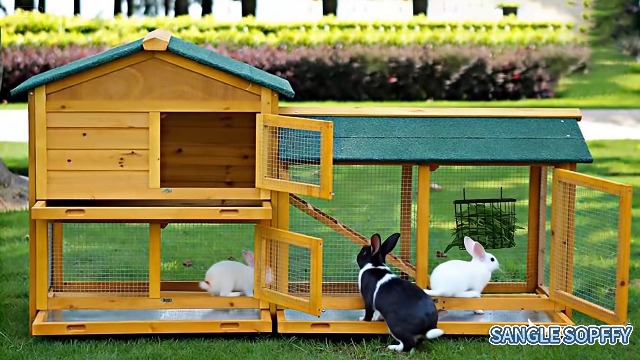 Rabbit hay Feeder Sangle Sopffy 2PCS, Guinea Pig hay Feeder with Metal Frame for Guinea Pig Chinchilla Bunny, Chinchilla cage Accessories (Black-1) - image 7