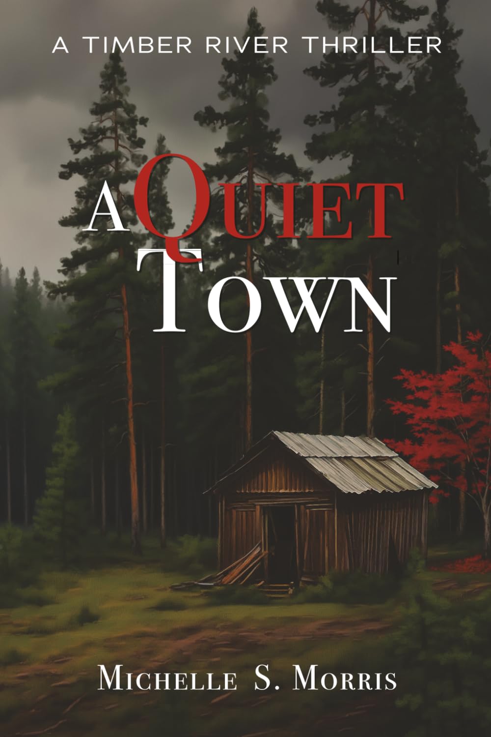 A Quiet Town: A Timber River Thriller (Timber River Thriller Series)