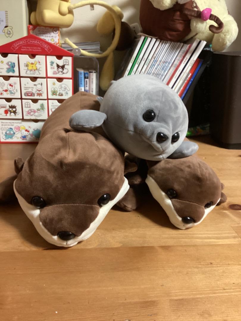 Amazon.co.jp: 3等、4等江ノ島水族館 あざらし アザラシ ぬいぐるみ