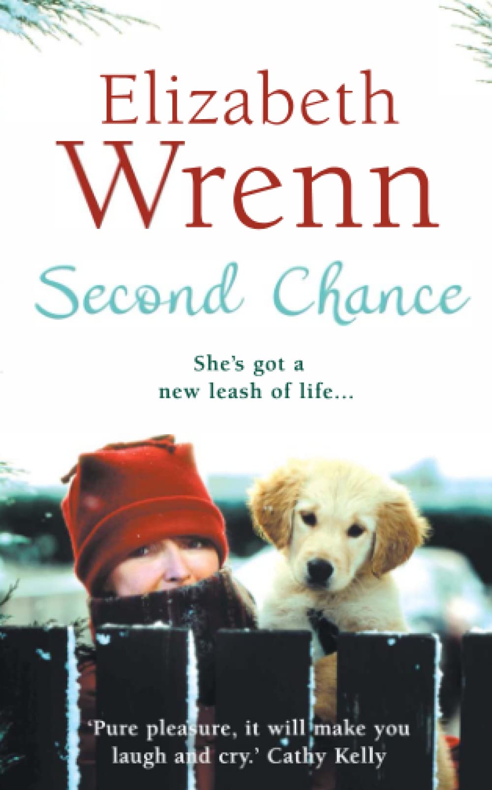 Second Chance, Modern and contemporary fiction: general and literary, Paperback, Elizabeth Wrenn