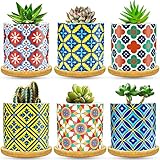 Ascrafter 6 Pack Succulent Pots with Drainage Hole, 3 inch Ceramic Succulent Planter with Bamboo Tray, Bright Color Succulent Plant Pots for Cacti Succulent Soil Potting Mix Indoor/Outdoor