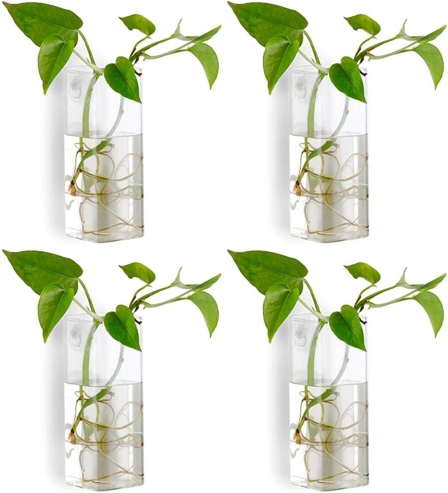 NUPTIO Pcs of 4 Crystal Glass Wall Hanging Flower Vase Planter Terrarium Container Flower Pot (Style 2, 4 Pcs)
