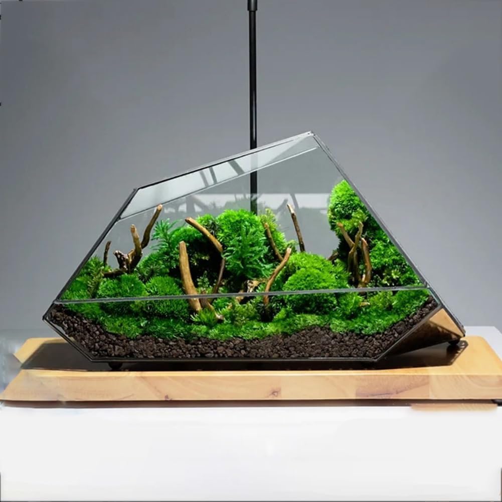 Terrario De Vidrio para Suculentas, Air S Interior Greenhouse Terrario De Vidrio como Decoración, Terrario Geométrico Moderno para Jardín En Miniatura, Hogar, Oficina, Decoración Superior