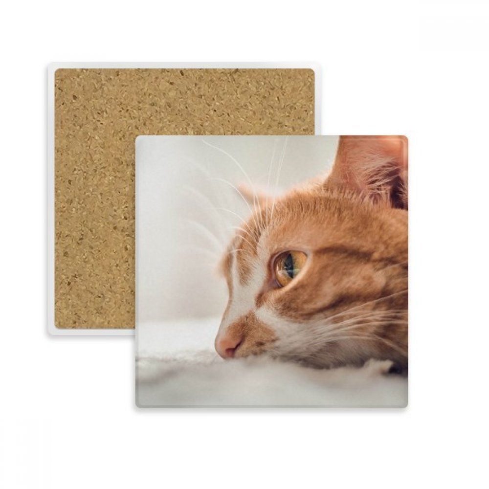 Dessous de verre chat en pierre pour éliminer les traces d'eau et protéger vos meubles