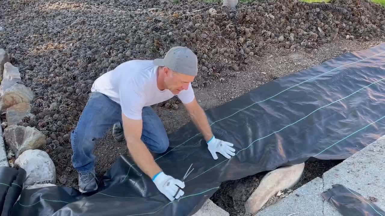 Watch Super Easy to Install and Set Up Weed Barrier Fabric on Amazon Live