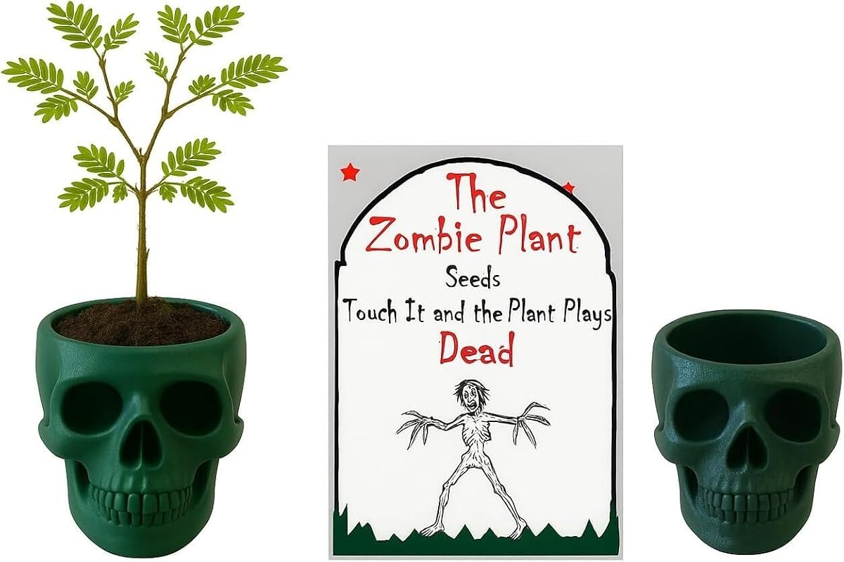 Zombie Plant Seeds Pack with Two Mini 3D Skull Flower Pots for Growing Sensitive Plants, Succulents, and More – Unique Gothic Planter that Reacts to Touch