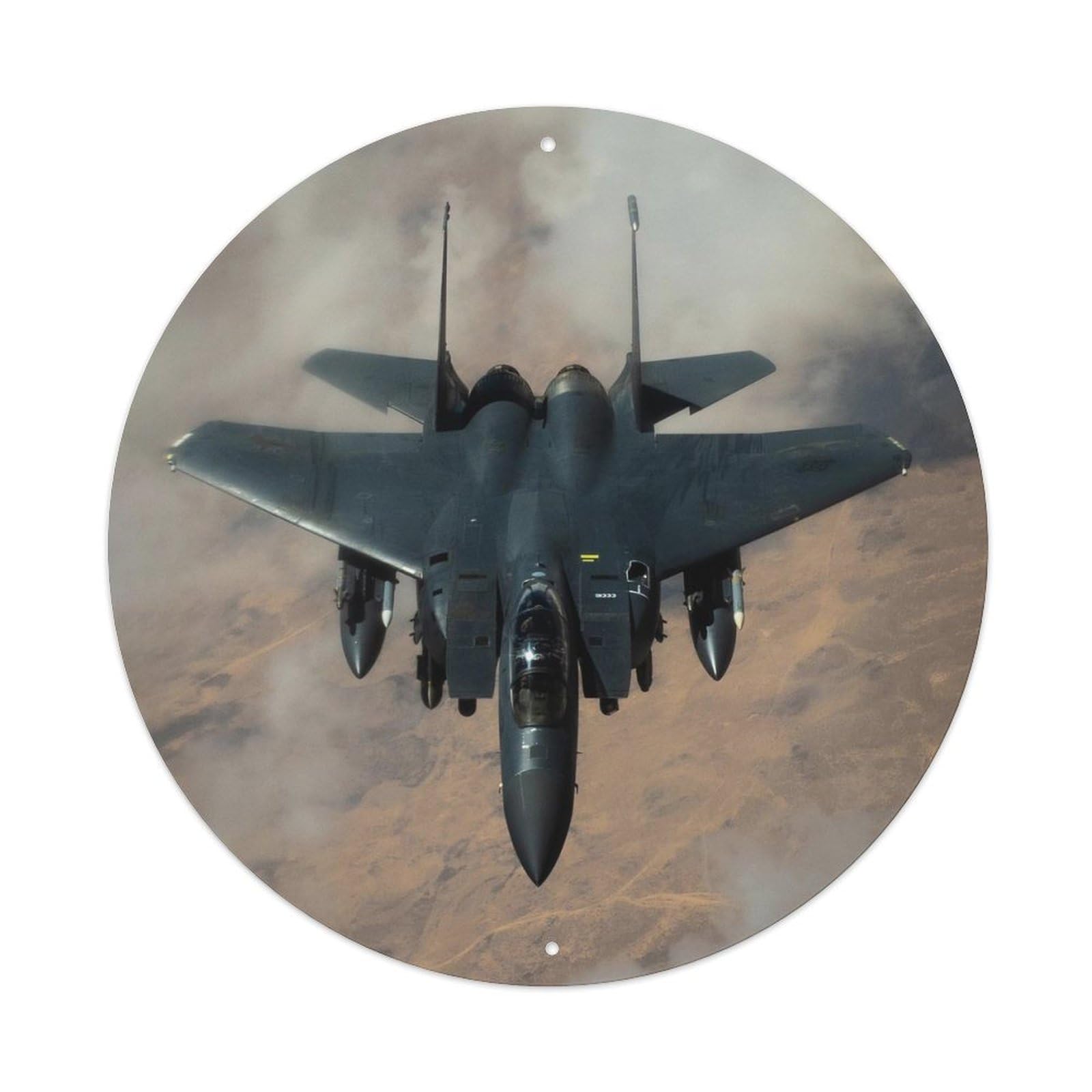 F-15E Strike Eagle Low Flight Military Aviation Metal Tin Sign