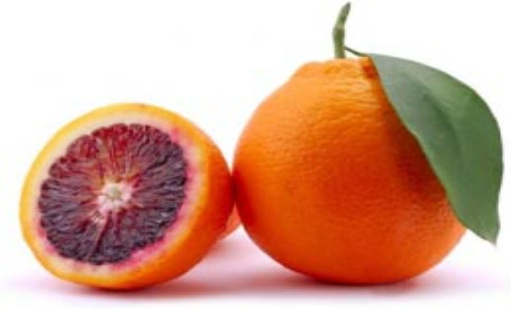 Cloud FarmCloud Farm Hybrid Valencia Orange Plant CF_3777