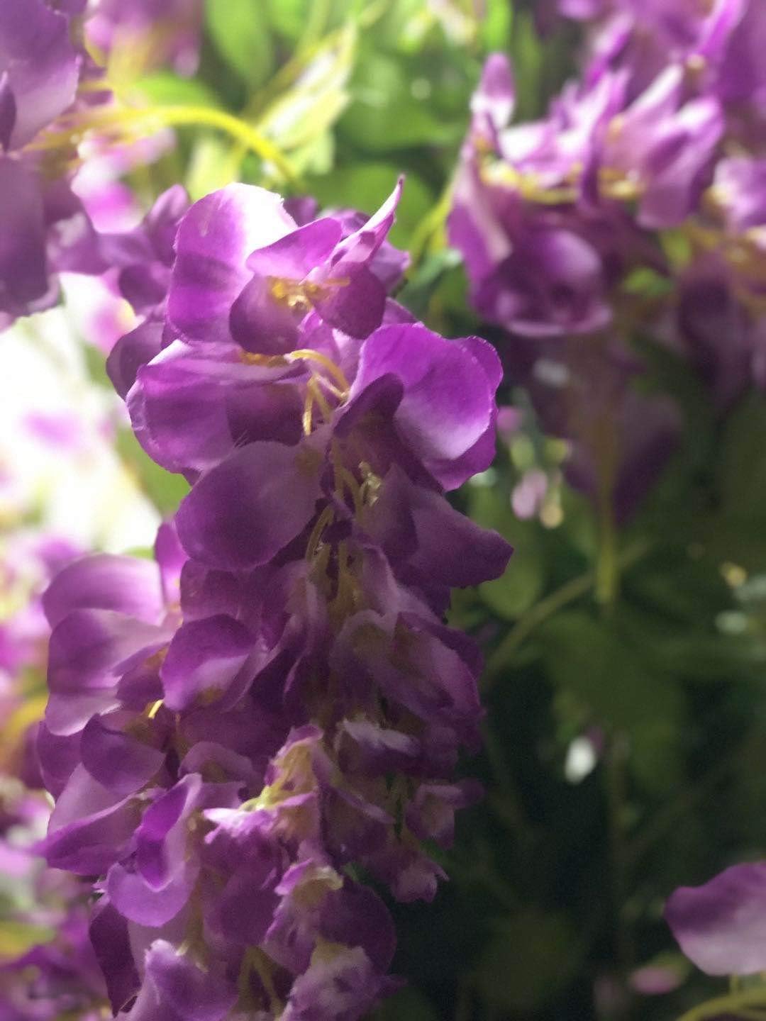 AMERIQUE Gorgeous & Unique 5 Feet Pre-Potted Artificial Purple Red Wisteria Tree with Flowers, Feel Real Technology