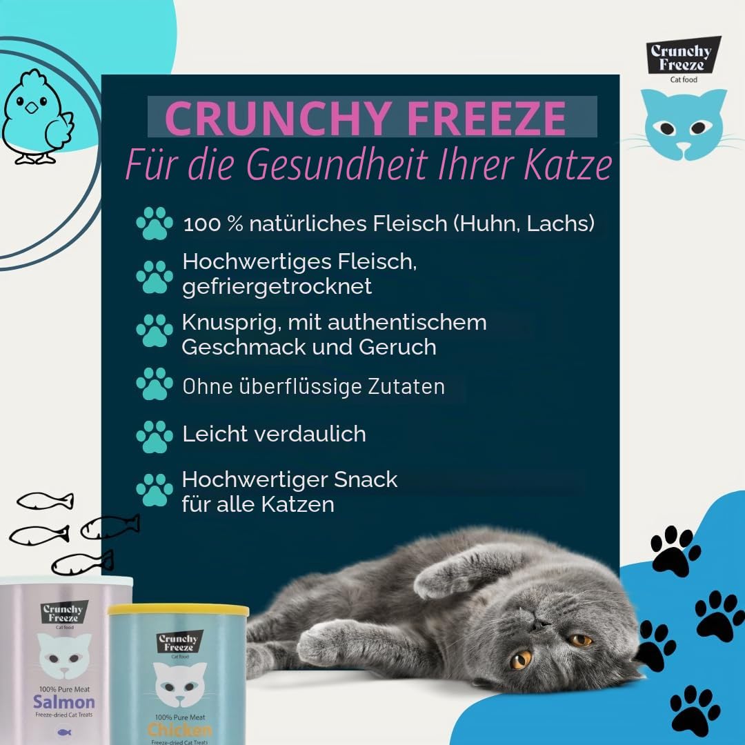 Snack für Katzen - gefriergetrocknetes Katzenfutter ohne Zucker - Katzensnack für Zahnpflege und Gesundheit (Lachs Dreierpack, 3 x 140 g)