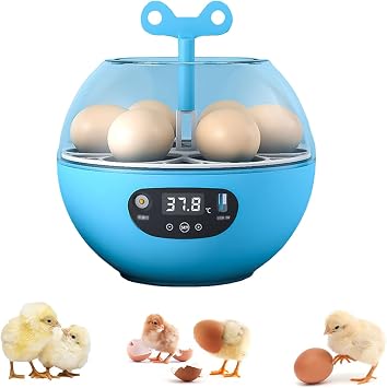 36 Eggs Chicken Bird Incubator, Egg Incubator with Automatic Turning, Rotation Incubator for Hatching Chicken Duck Quail Automatic Intelligent Farm Supplies 6 Eggs